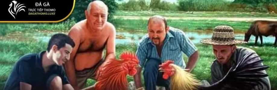 ĐÁ GÀ THOMO Cover Image