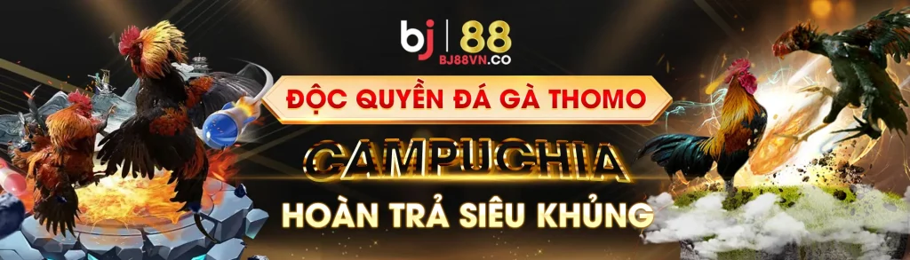 Bj88vn Co Cover Image