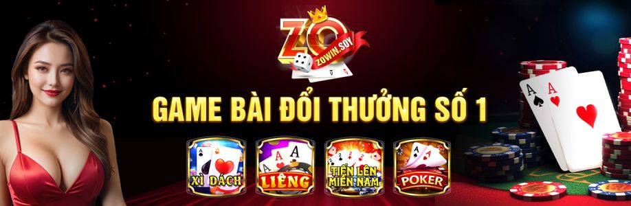 Zowin Game Cover Image