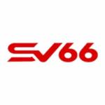 SV66 it com Profile Picture