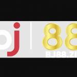 BJ 88 Profile Picture