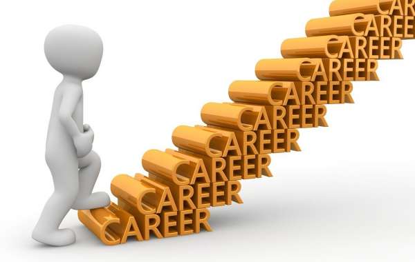 Step Into Your Future: A Career Guide That Works for You