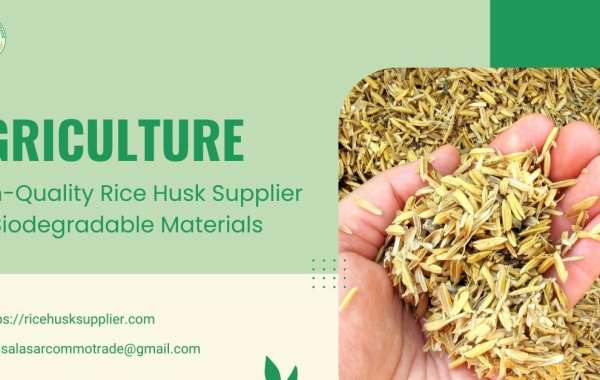 High-Quality Rice Husk Supplier for Biodegradable Materials