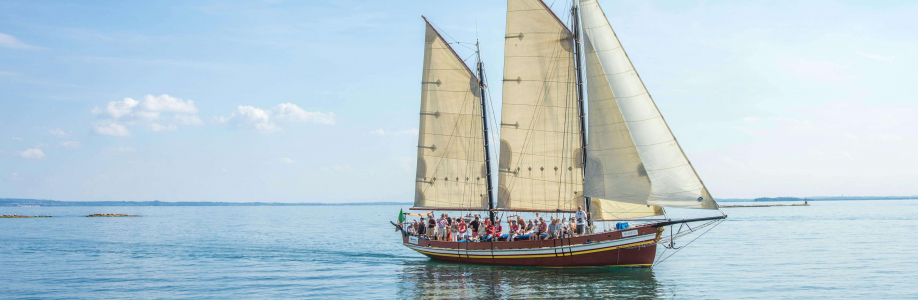 The Sail Store Cover Image