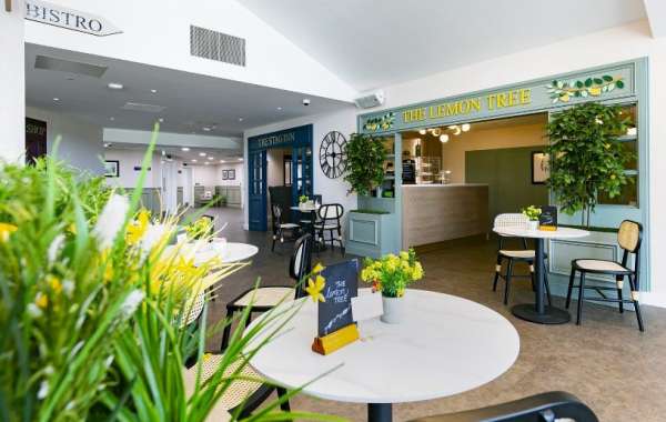 Care Home Interior Design Services That Make Life Easier