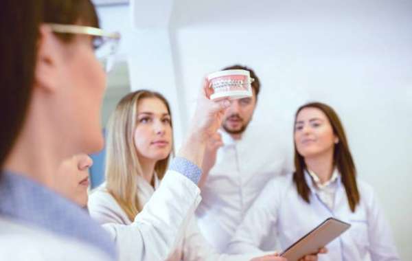 How Dental School Admissions Consulting Can Transform Your Application