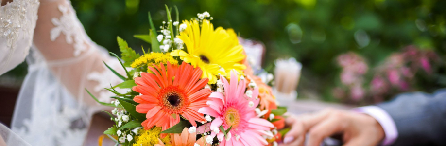 Soulmate Matrimonial Cover Image