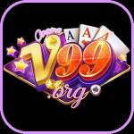 v-99 org Profile Picture