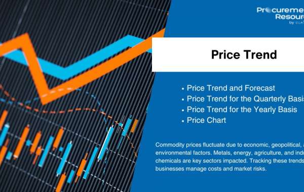 A Deep Dive into the Ocean Freight Price Trend and Market Analysis