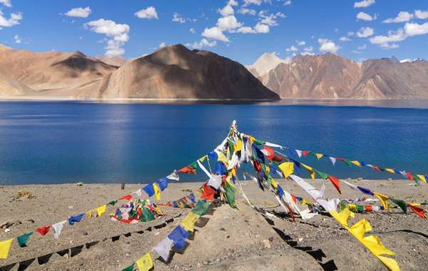 Thrilling Ladakh Adventures: Top Tour Packages for Bikers & Trekkers