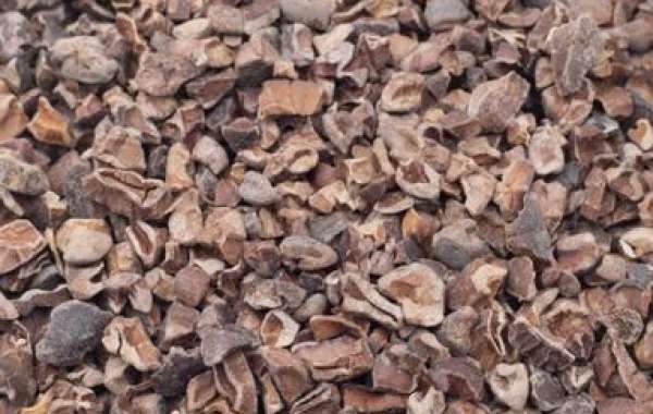 The Health Benefits of Cacao: A Grape Tree Superfood Spotlight
