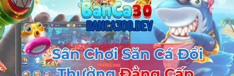 Banca300 Dev Cover Image
