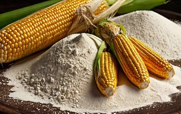 Analysis of the Indonesia Corn Starch Market 2025: Trends, Drivers, and Challenges