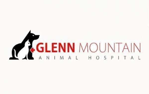 Quality Pet Care at Glen Mountain Vet