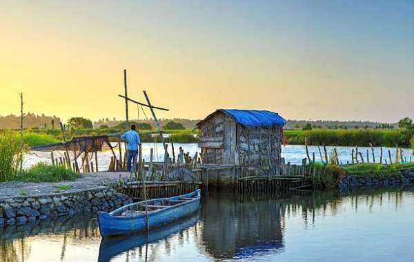 Explore Kerala: Best Places for a One Day Trip
