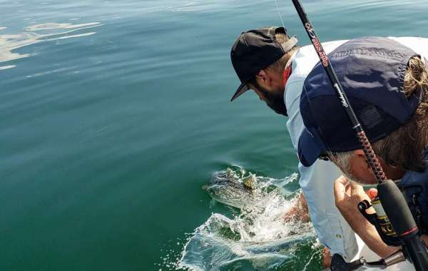 À la découverte du bar rayé en Gaspésie : une aventure incontournable pour les pêcheurs