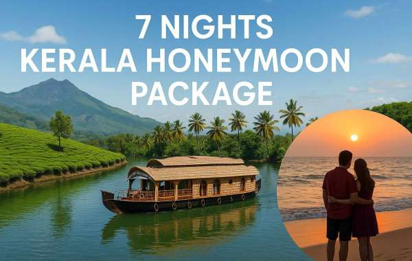 Plan Your 7 Nights Kerala Honeymoon with Adotrip