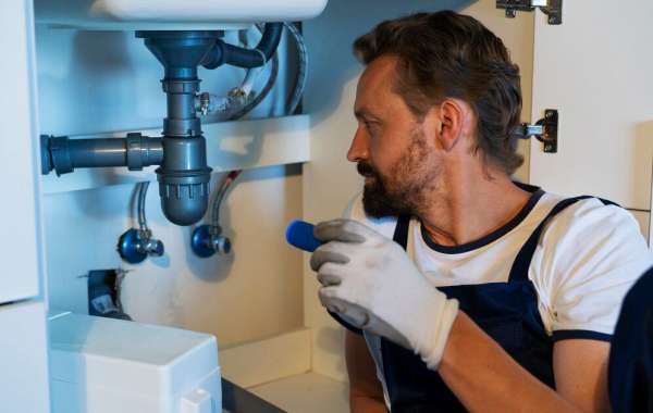 What Services Do Emergency Plumbers in Chicago Illinois Typically Offer?