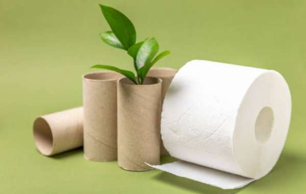Bamboo Toilet Paper: The Green Choice for a Better Tomorrow