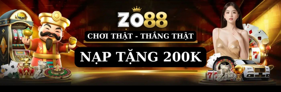 zo88 Cover Image
