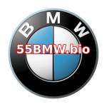 55BMW Profile Picture