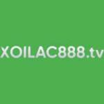 Xoilac1 TV Profile Picture