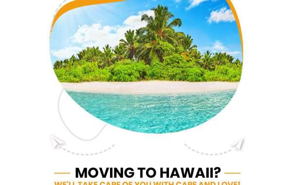 How Can You Make Shipping Household Goods from Hawaii to the Mainland Stress-Free?