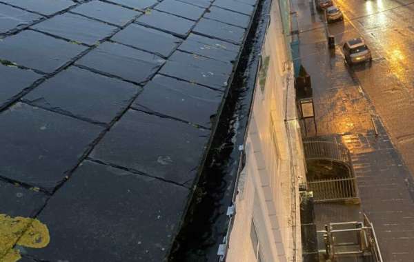 Exterior Cleaning Essentials: Why Roof, Wall, and Window Cleaning Matter