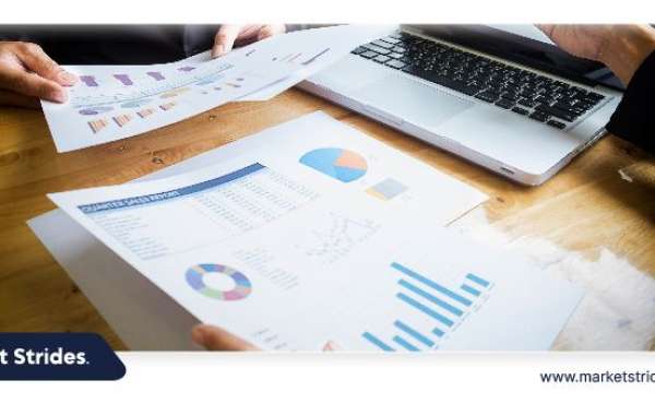 Could Pharmaceutical Products and CMO Market Outshine Competing Stocks by 2033?