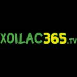 Xoilac Tv Profile Picture