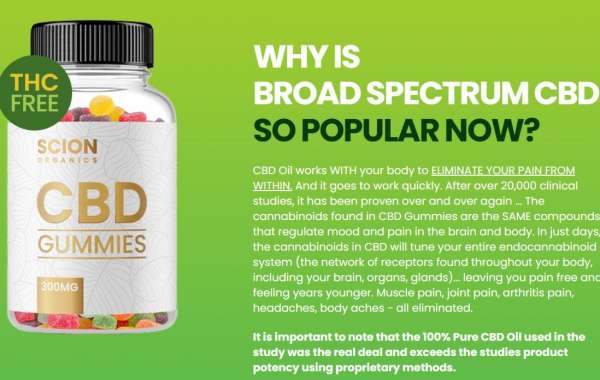 How long does Scion Organics Gummies 300mg take to produce results?