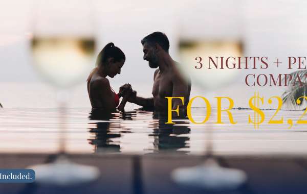 Meeting Puerto Plata Escorts: Experience Unforgettable