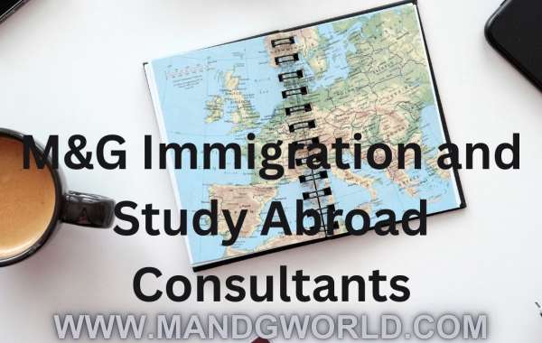 Study Abroad Consultant in Kannur & Study Abroad Agency in Kannur: Your Guide to International Education