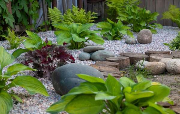Rock Your Landscape: A Fun Guide to Finding the Best Big Stones Around