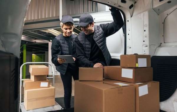 Affordable Shipping to New Zealand with Trusted Cargo Experts