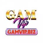 Gamvip Profile Picture