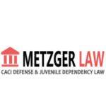 paulmetzgerlaw Profile Picture