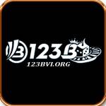 123bvi org Profile Picture