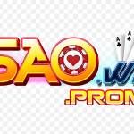 Saowin promo Profile Picture