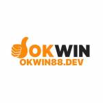 okwin88dev Profile Picture