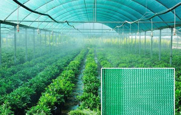 Best Shade Nets for Gardens, Parking & Greenhouses in Dubai