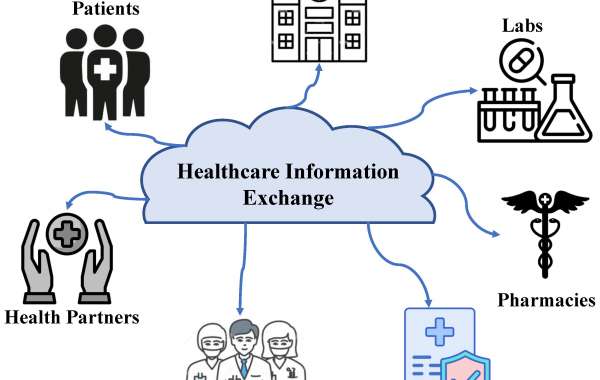 Healthcare IT Market and Electronic Health Record (EHR) System Innovations