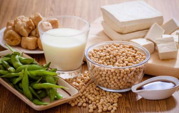 Soy Protein Ingredients Market Growth in Meat and Dairy Alternatives 2022–2030