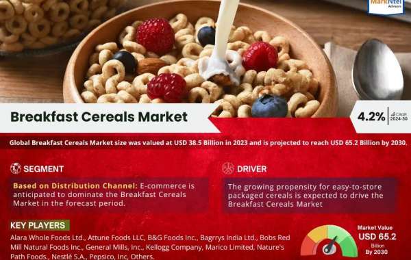 Breakfast Cereals Market Insights, Share & Growth Trends 2024-2030