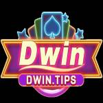 DWIN Profile Picture