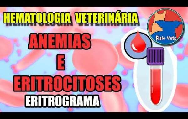 Exame de lipase para cães: sinais que indicam problemas de saúde