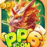 pp6 uk Profile Picture