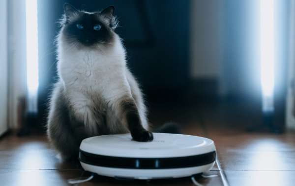 Are You Getting The Most The Use Of Your Robot Vacuum Cleaner?