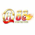 QH88beting net Profile Picture