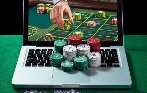Winbuzz – Your Gateway to Smart & Secure Online Betting